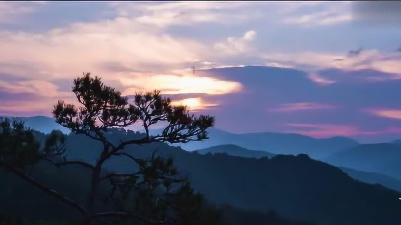 贾玲《热辣滚烫》营销过头?减肥话题来回炒,或为票房前景埋隐患