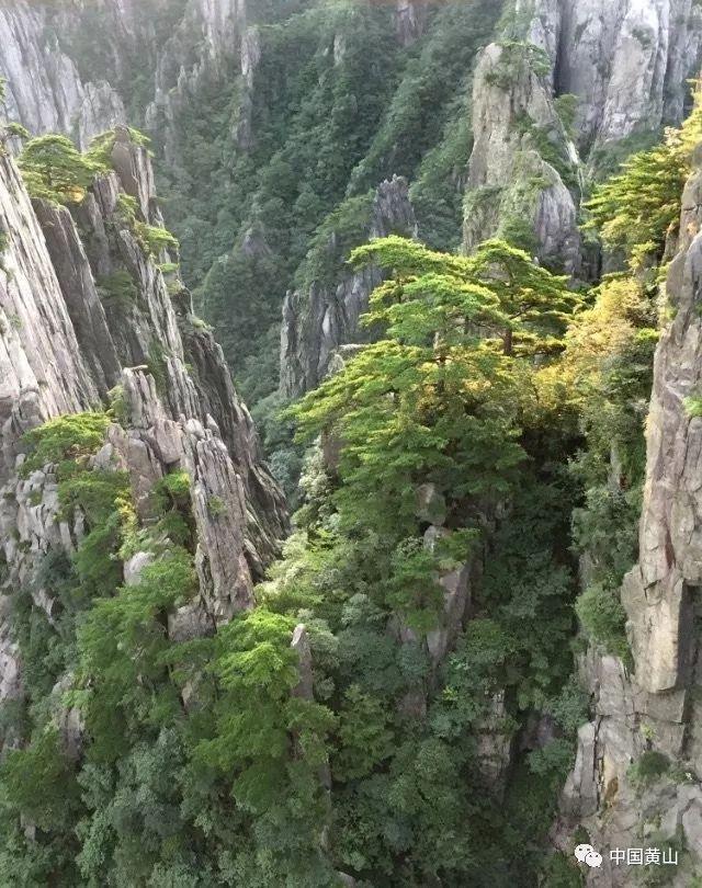 别人祝福你生日快乐要怎么回复？游戏画面